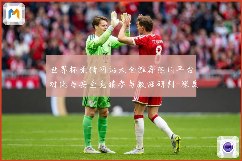 世界杯竞猜网站大全推荐热门平台对比与安全竞猜参与数据研判-深度解析