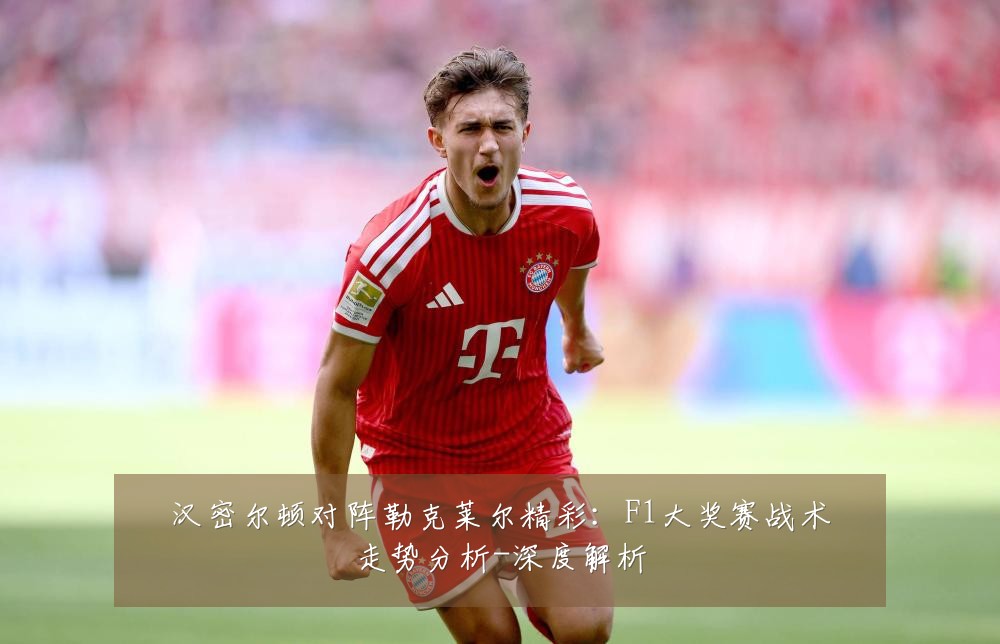 汉密尔顿对阵勒克莱尔精彩:F1大奖赛战术走势分析-深度解析